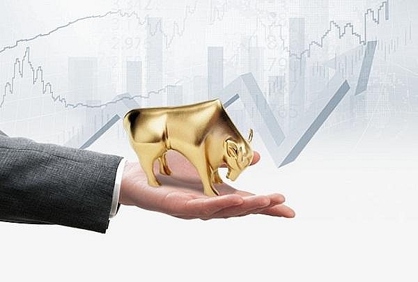 Chứng khoán chấm dứt chuỗi 9 phiên tăng