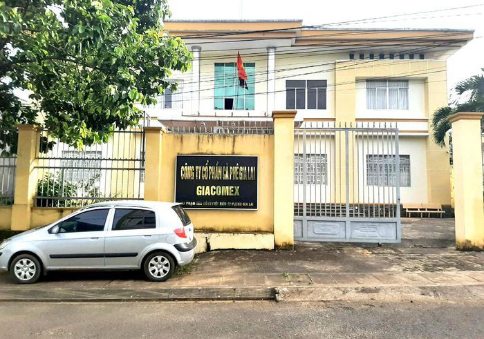 Làm trái chỉ đạo của tỉnh, Công ty Cà phê Gia Lai bị điều tra