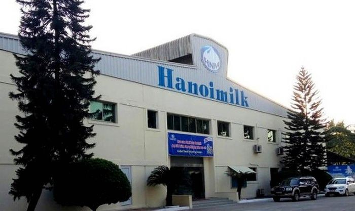 Dù báo lãi, Hanoimilk vẫn bấp bênh khả năng phục hồi