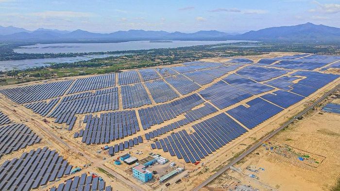 Hồ sơ Cty Năng lượng sạch 'phá nhầm' hơn 5 ha rừng phòng hộ
