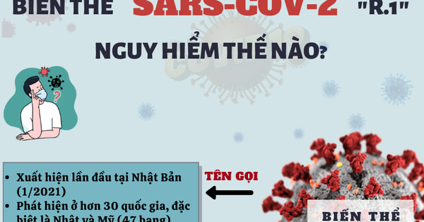 [Infographic] Biến thể R.1 mới có khả năng kháng vaccine COVID-19
