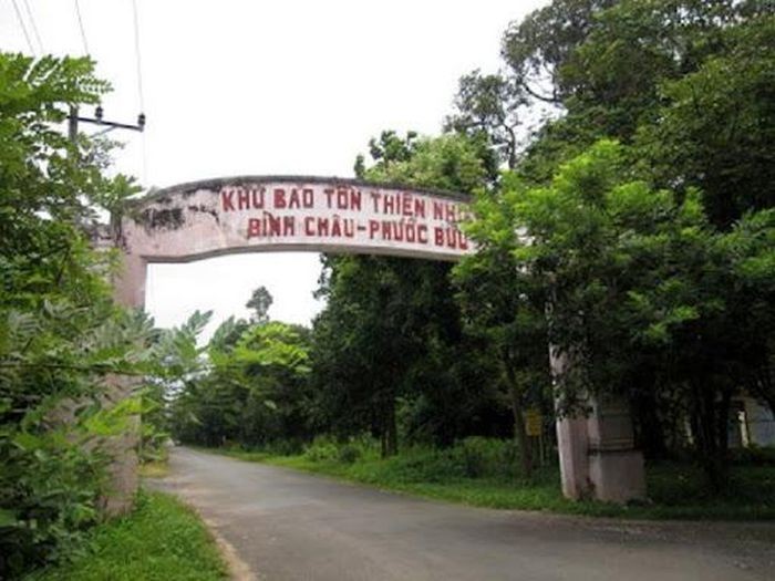 Bà Rịa - Vũng Tàu: Nhiều sai phạm quản lý, bảo vệ rừng