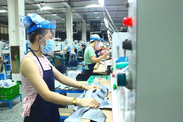 TP.HCM: Khảo sát khẩn về nhà trọ, nhà ở cho công nhân