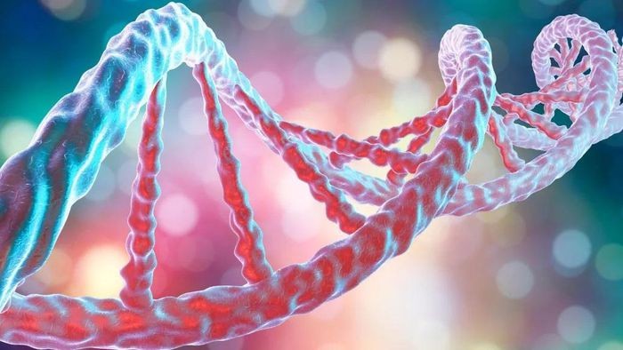 Phát hiện phiên bản gene tăng gấp đôi nguy cơ tử vong do COVID-19