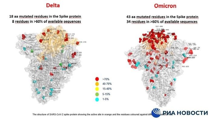 Hình ảnh đầu tiên chỉ ra sự khác biệt giữa hai biến thế Omicron và Delta