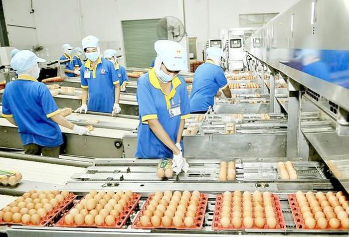 Số doanh nghiệp quay trở lại hoạt động tăng 15,2% so với tháng trước