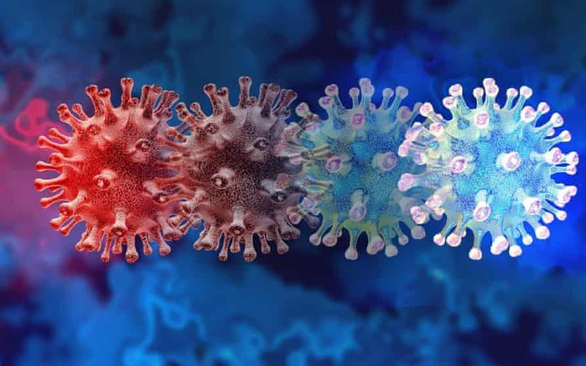Pfizer: Trong vòng 100 ngày sẽ có vaccine chống lại biến thể Covid-19 mới