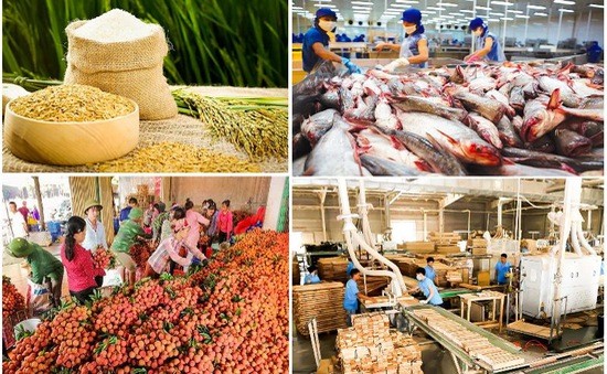Xuất khẩu lập kỷ lục bất chấp đại dịch Covid-19