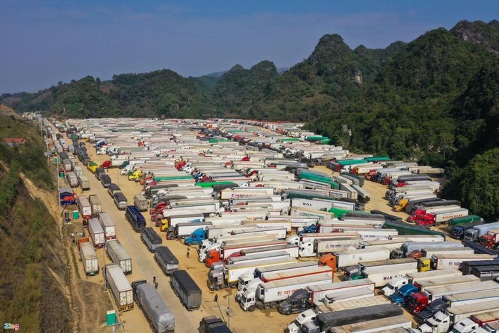 Trái cây, rau củ Việt gặp khó khi Trung Quốc siết chặt nhập khẩu