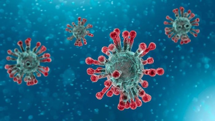 Virus SARS-CoV-2 tồn tại trong cơ thể con người nhiều tháng