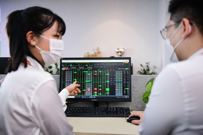 Cổ phiếu ngành nào sẽ tạo sóng năm 2022?