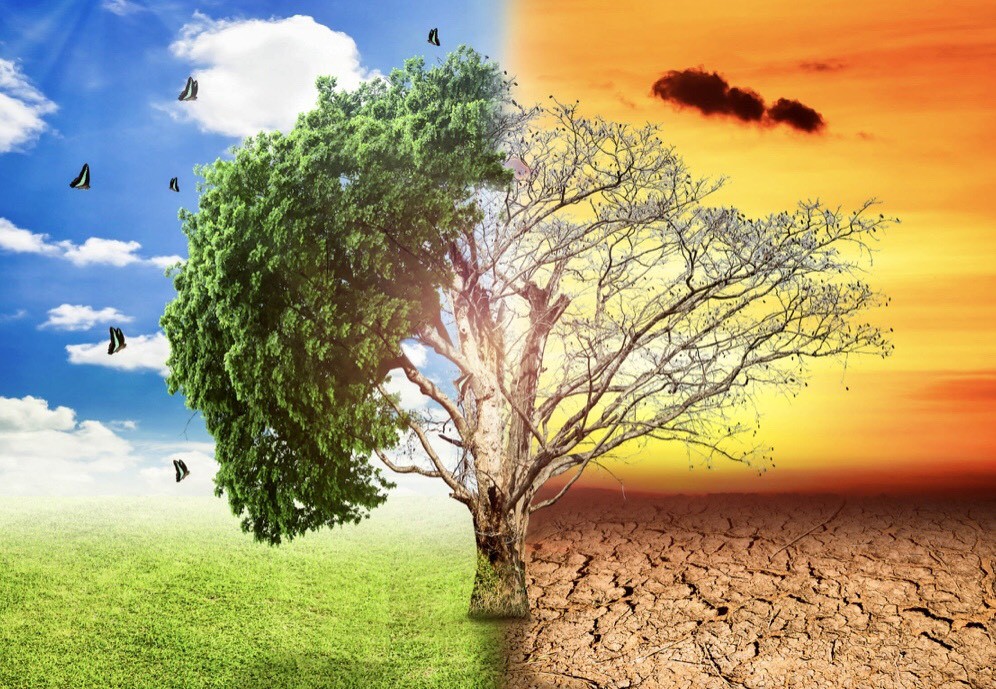 2021: Một năm đầy biến động của dịch bệnh và biến đổi khí hậu trên thế giới