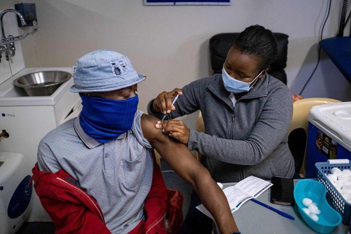 Omicron báo hiệu virus suy yếu và khả năng đạt miễn dịch cộng đồng?