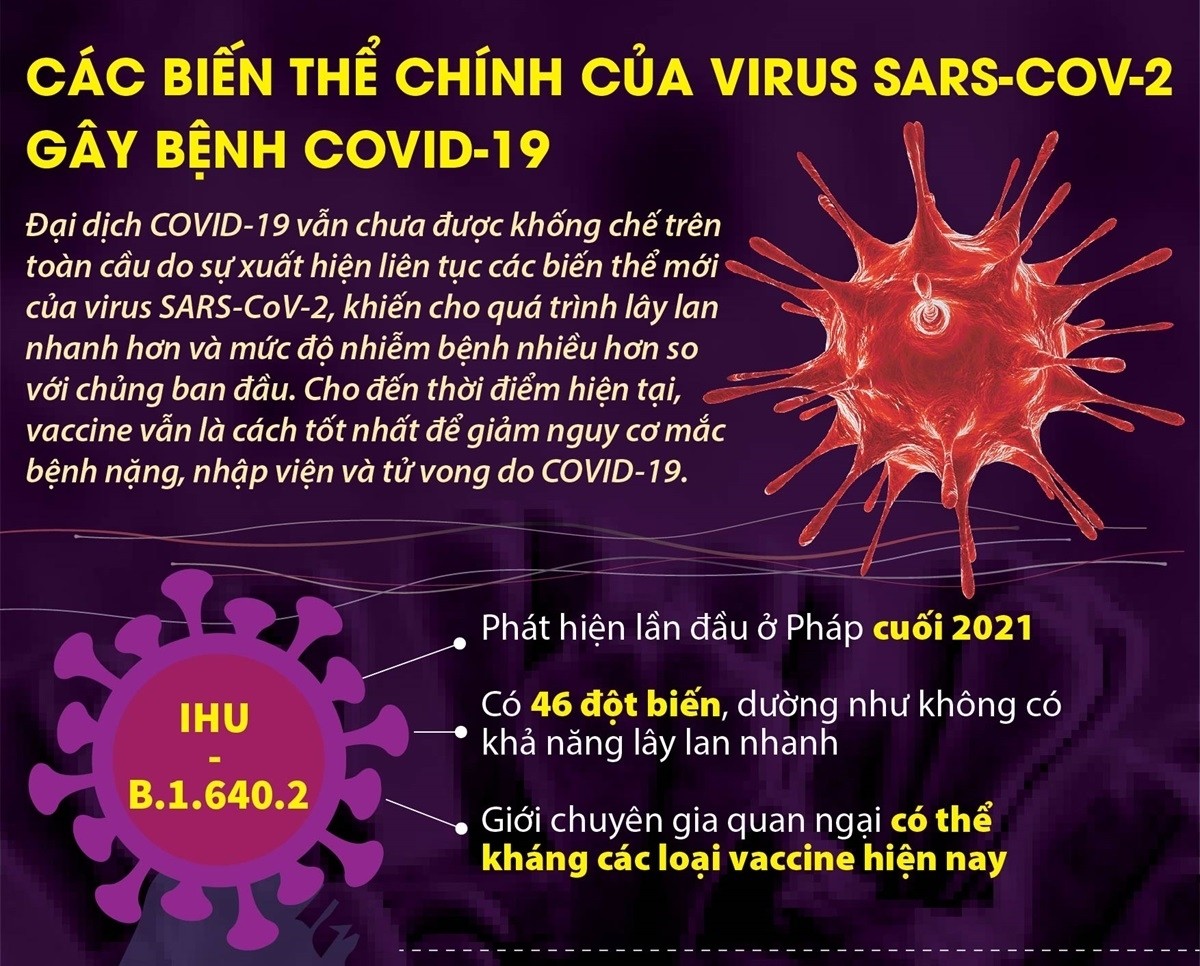 Các biến thể chính của virus SARS-CoV-2 gây bệnh COVID-19