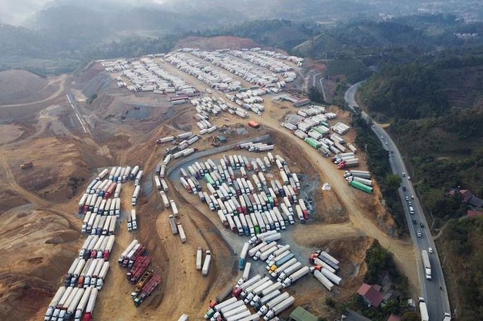 Thúc đẩy xuất khẩu nông sản qua vận tải đường biển, hàng không