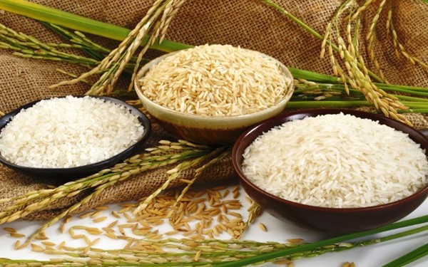 Thị trường nông sản tuần qua: Giá gạo Ấn Độ tăng lên mức cao của 7 tháng