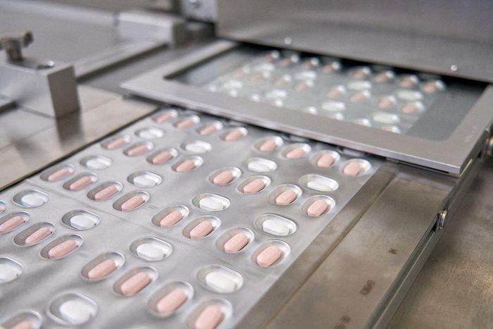Nhật Bản phê duyệt thuốc điều trị Covid-19 dạng uống của Pfizer