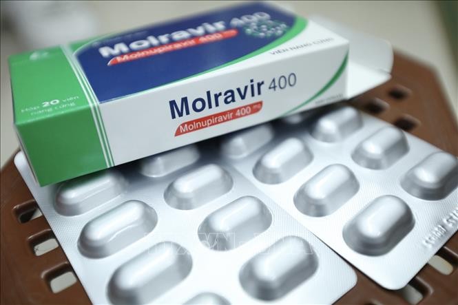 Những người không thể dùng thuốc Molnupiravir điều trị Covid-19