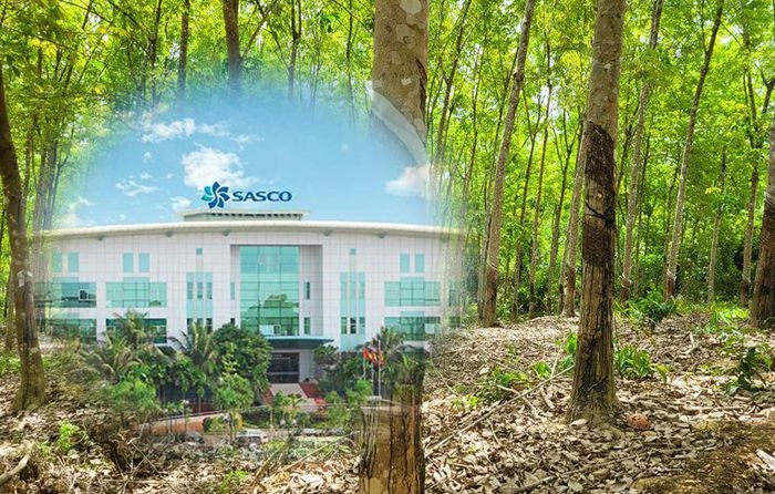 Sasco 'sa lầy' vào dự án ở Bình Phước như thế nào?