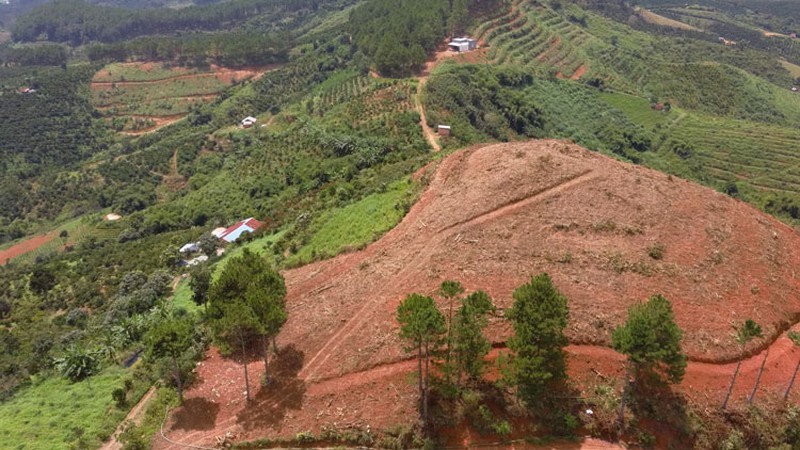 Công ty TNHH Mai Bình sử dụng 320 ha đất sai mục đích