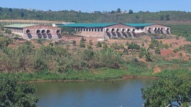 Lâm Đồng: Bị trang trại heo trái phép bủa vây, dân 'kêu trời không thấu'