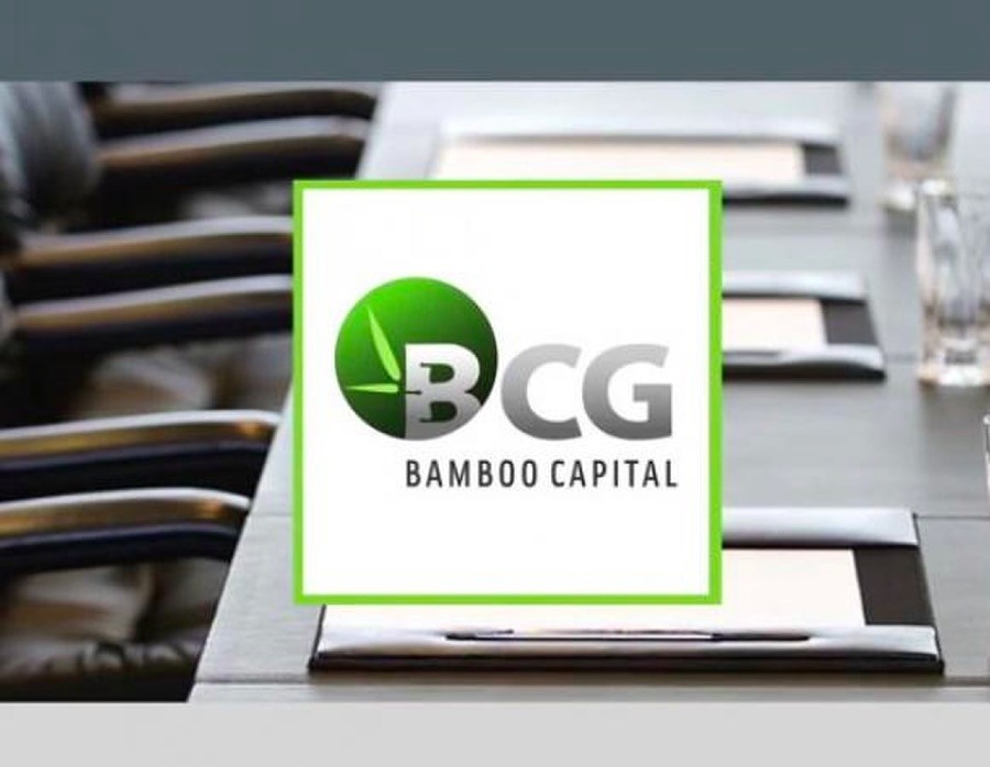 Rót vốn 'khủng' vào dự án năng lượng tái tạo, ngân hàng, Bamboo Capital đang làm ăn ra sao?