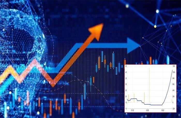Cổ phiếu 'lạ': Tăng trần 11 phiên nhưng giao dịch trồi sụt