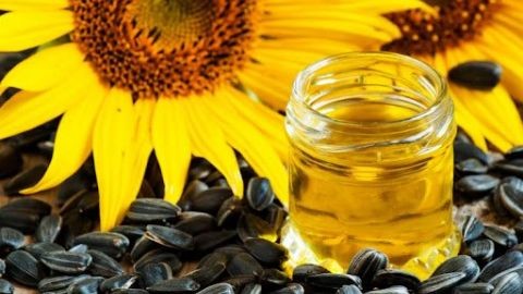 Xung đột Nga-Ukraine: Khủng hoảng thiếu dầu hướng dương nguy hiểm như thiếu dầu mỏ