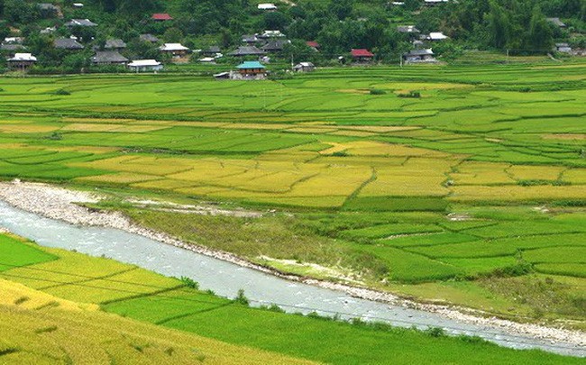 Vĩnh Phúc: Doanh nghiệp tự ý chuyển đổi, quây bao hàng nghìn m2 đất lúa