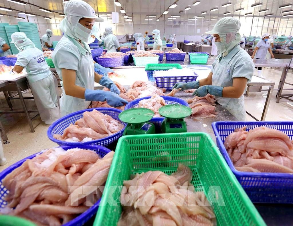 Một công ty thuỷ sản Việt Nam bị Trung Quốc cấm nhập khẩu vì liên quan đến kiểm dịch COVID-19