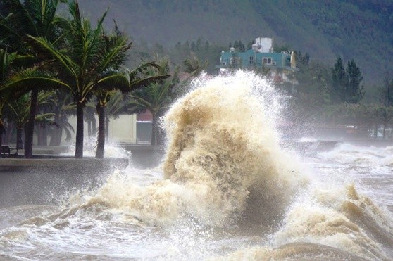 Bão Noru giật cấp 14, còn 177 tàu thuyền miền Trung đang trong vùng nguy hiểm
