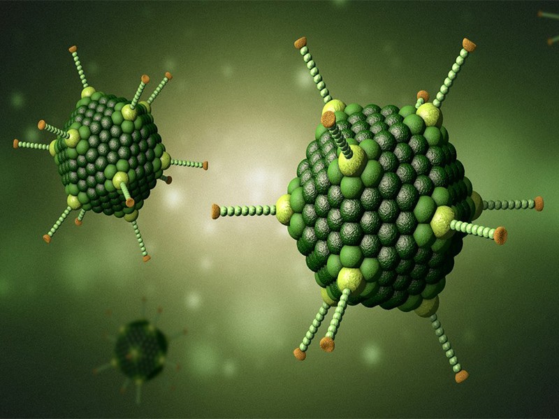 30/30 quận, huyện, thị xã thuộc Hà Nội đã có ca nhiễm adenovirus