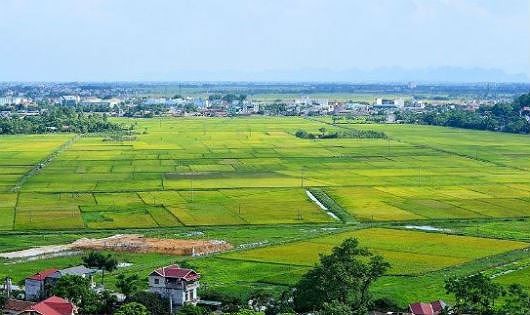 Hệ lụy từ việc cho thuê đất trái thẩm quyền tại xã Thạch Mỹ: Cả hệ thống chính quyền vào cuộc, không thanh lý nổi hợp đồng thuê đất trái pháp luật!