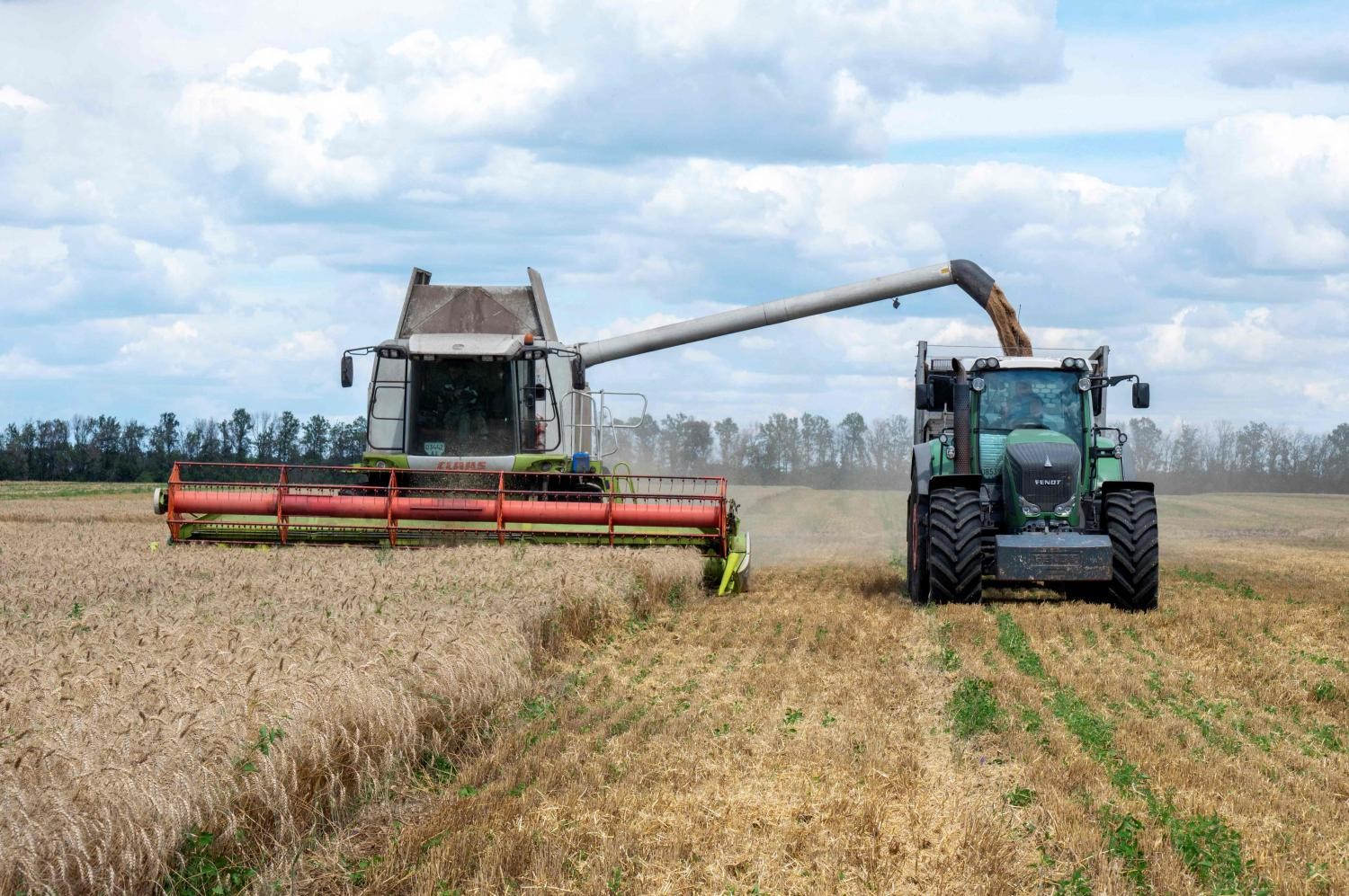 Giá ngũ cốc tăng vọt khi Nga rút khỏi thoả thuận xuất khẩu với Ukraine