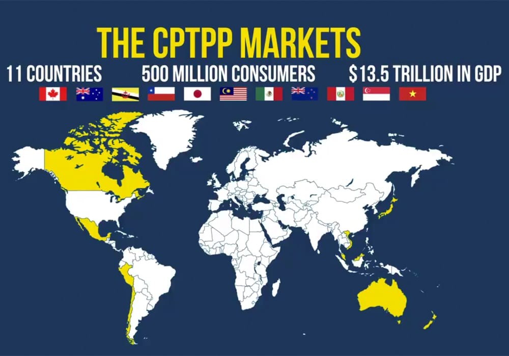 Nhanh chân hơn nữa tận dụng cơ hội từ CPTPP