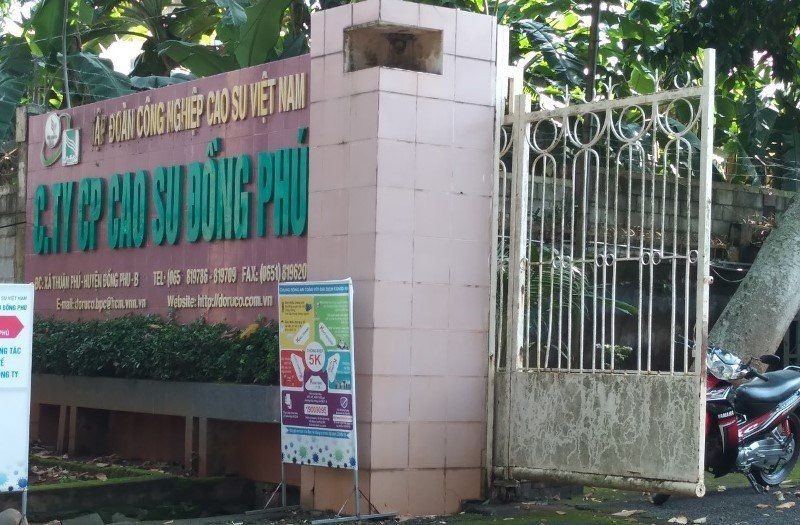 Cao su Đồng Phú (DPR): Chốt ngày chia cổ tức còn lại năm 2021 bằng tiền 20%