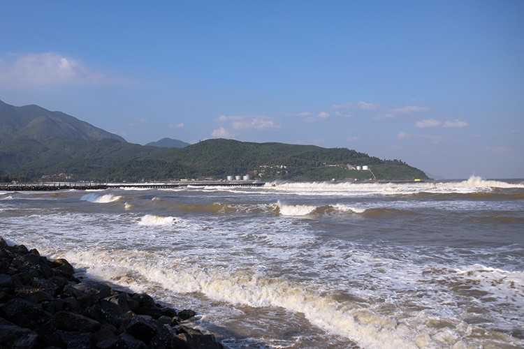 Làm rõ việc chuyển rừng sản xuất sang đất du lịch khu đường tránh Nam hầm Hải Vân