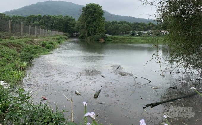 ĐTM duyệt một đằng, chủ trại thực hiện một nẻo