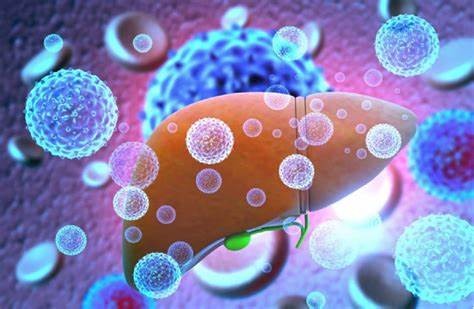 Phát hiện bất ngờ về bệnh viêm gan bí ẩn