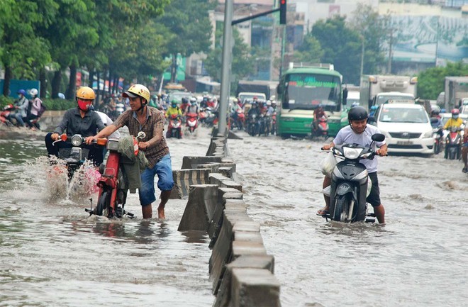 TP.HCM muốn đơn phương chấm dứt hợp đồng với doanh nghiệp - Bài 1: Của công ai xót?