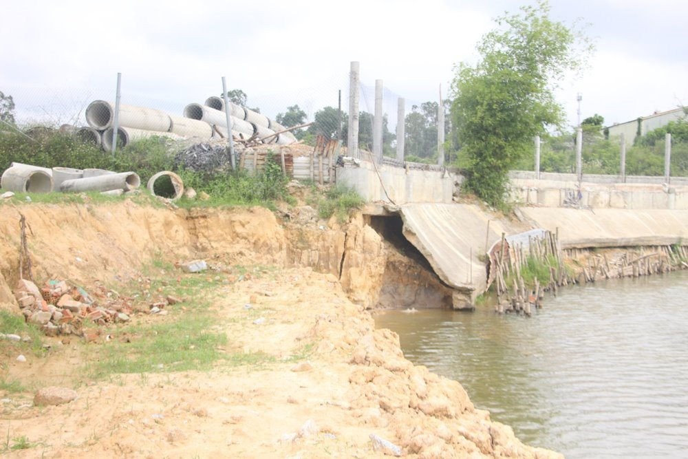 Công ty TNHH Thái Bình (Quảng Nam): Ngang nhiên lấn hơn 8.000 m2 đất
