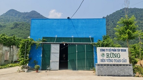 Thanh Hoá: Doanh nghiệp ôm hàng chục nghìn m2 đất nhưng 'treo' dự án 10 năm