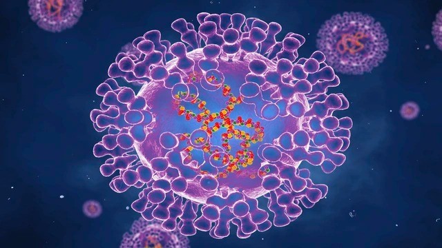 Chủng virus đậu mùa khỉ đang lây lan toàn cầu có 47 đột biến mới