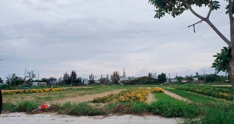 Các dự án của Công ty cổ phần Bách Đạt An: Lấy quyền lợi của dân làm 'con tin'