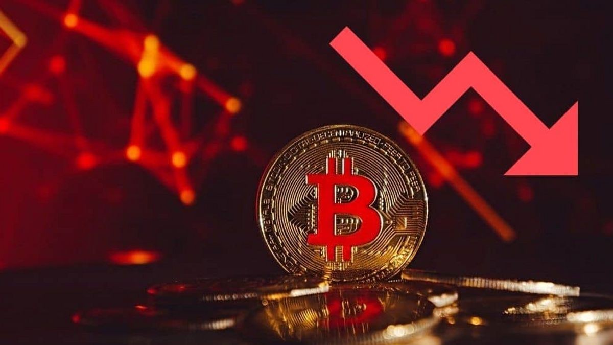 Bitcoin về dưới 25.000 USD, thị trường tiền số hoảng loạn