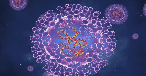 Báo động: Virus đậu mùa khỉ tiến hóa 'thần tốc' nhanh gấp 12 lần thông thường