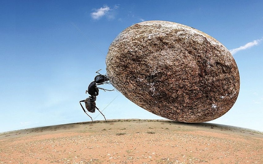 Có nên gồng lỗ cổ phiếu?