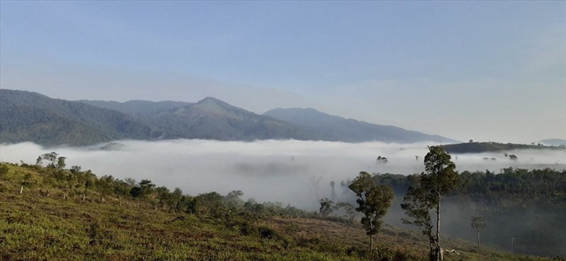 Phát hiện hàng loạt biệt thự, homestay chiếm đất rừng ở Măng Đen