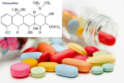 Cảnh báo thuốc Tetracyclin giả bán trên thị trường