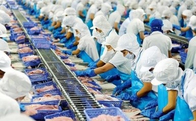 Vĩnh Hoàn: Lợi nhuận quý II tăng chậm hơn quý I và dòng tiền âm 304,4 tỷ đồng